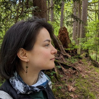 Вместо livejournal 🏞️📝🇨🇦