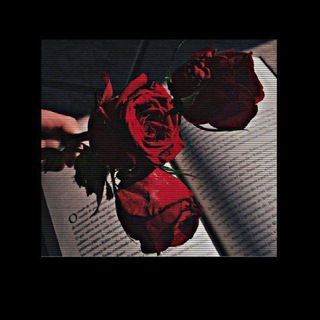 𓆩 ⁽♔₎┋🖤،ذِڪࢪى ┋𓆪:
