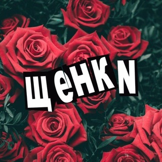 "ЩЕНКN" Напоминание о чартовой дюжине