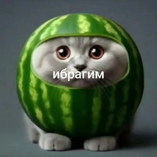 а потом Алеша спрыгнул с крыши