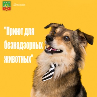 МБУ г.Шимановска "Пункт временного содержания животных»