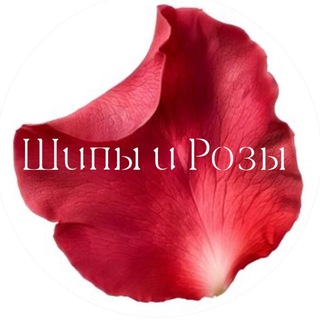 Шипы и Розы