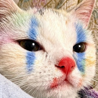 Щитпост ленивого типа