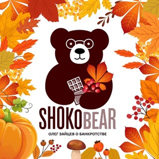 Shokobear (Олег Зайцев о банкротстве)