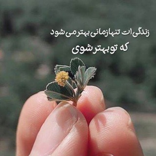 شکوه ثروت