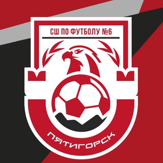 МБУ ДО СШ по футболу №6 Муниципальное бюджетное учреждение дополнительного образования спортивная школа по футболу №6