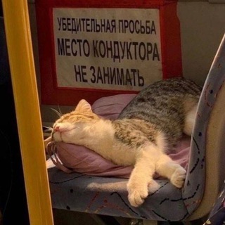 Шоря шабуршит🌸