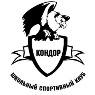 Школьный Спортивный Клуб «Кондор»