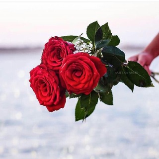 مــنــوعــــات🦋.