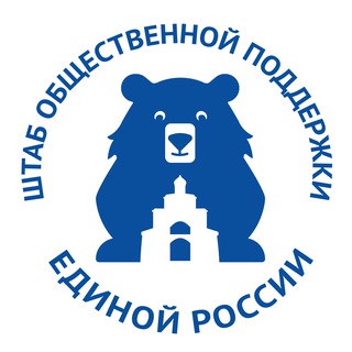 Штаб общественной поддержки Владимирская область