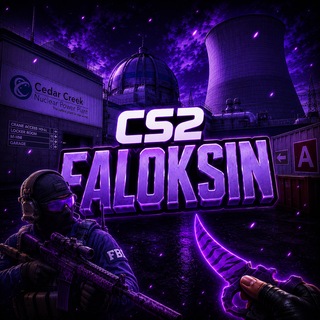 FAL0KSIN CS2