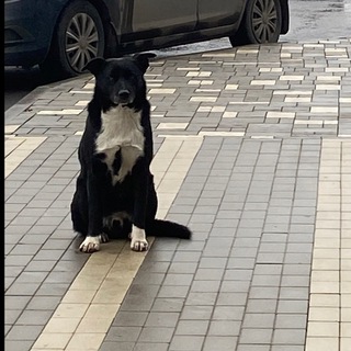 шутки шучу