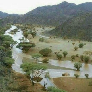 أبو تركي