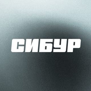 Карьера в СИБУРе