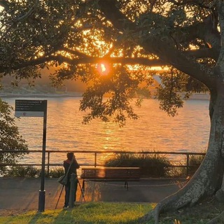 The sun will rise and we will try again