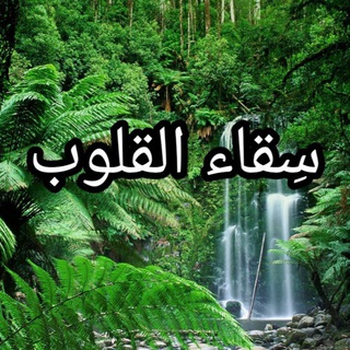 ✨ سِقاء القلوب✨