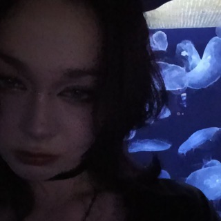 ⊹₊ ⊹Сисуня₊ ⊹₊ ⊹