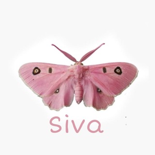 Siva
