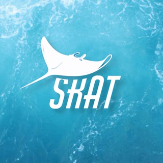 Кроссовки "SKAT"