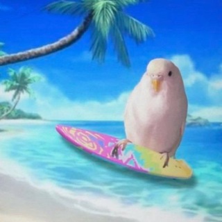 @ 𝑘𝑎𝑛𝑎𝑘𝑜𝑢 ⋆˚｡