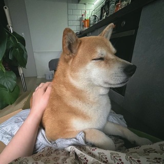 Собачий Яр