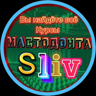 Mastodonta СКЛАД Бесплатно | Skillbox курсы бесплатно | Арбитраж трафика курсы бесплатно | Wildberries курсы бесплатно