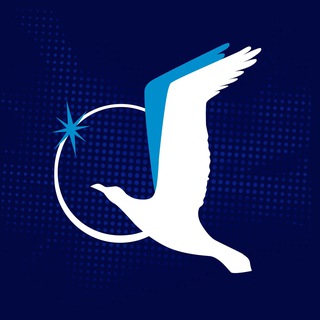 SMP Esports
