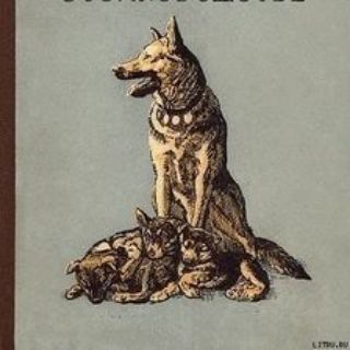 Собаководство