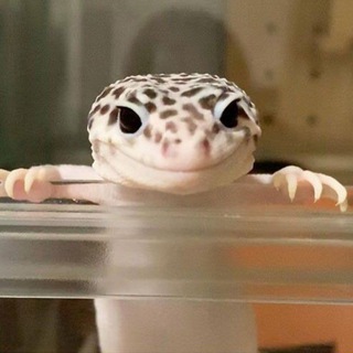 Я Саида Крым 🐍