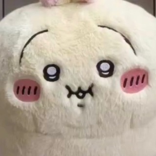 𓈒 ݁みずき姫ℳ𝑖𝑜 ♡꒷꒦