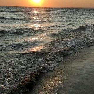 Крым Усадьба Сокол