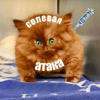 Солевая атака