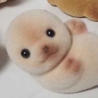 сонкоэ