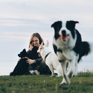 Аватар канала Шерстяные бандитники @sonya_about_dogs