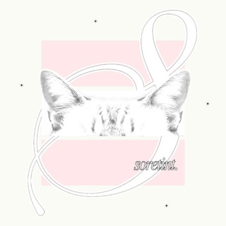 𝓢oretint. 𑛂