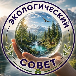 🔵 ЭКОЛОГИЧЕСКИЙ СОВЕТ