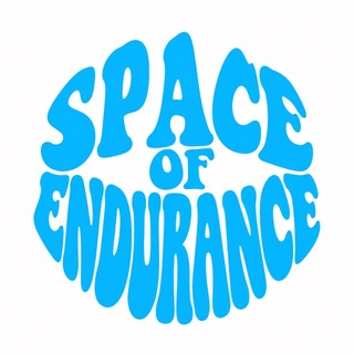 Space of Endurance • WEC, IMSA, GT