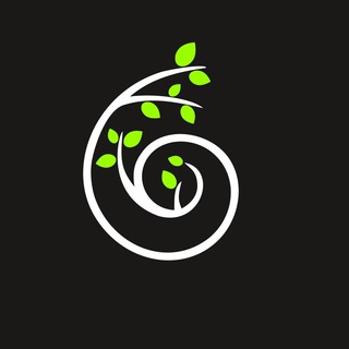 🟢 Дизайн интерьера | Spiral-shop