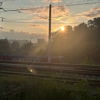 Сплетни Пушкино