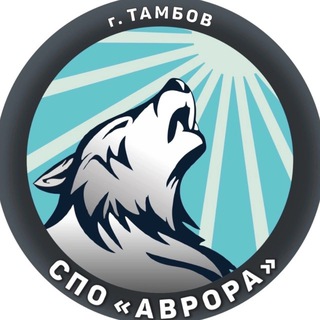 СПО «Аврора» ТГТУ