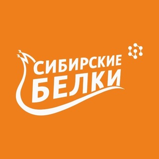 ССК «Сибирские белки»