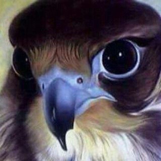 نْفَحٍـآت—ٌ آلُقَصٍيَدِ
