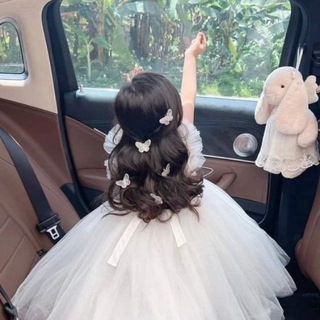 ملجأ الفراشات 🥀🦋