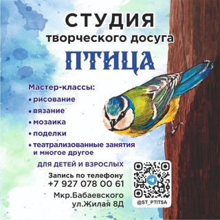 ПТИЦА студия творческого досуга Астрахань