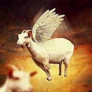 життя козюл¡⋆ ✝️🪦