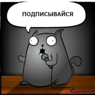 Кот-каламбурист / стендап-кот