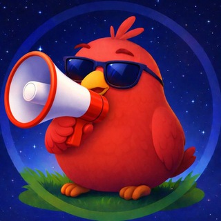 Stars Birds News