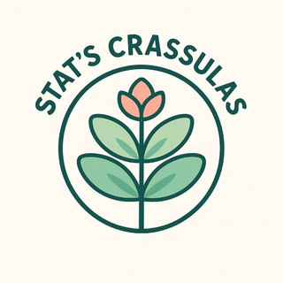 Stat’s crassulas