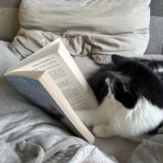 Книжная станция и ее Кот || Продажа книг.