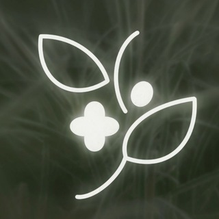 stebel'